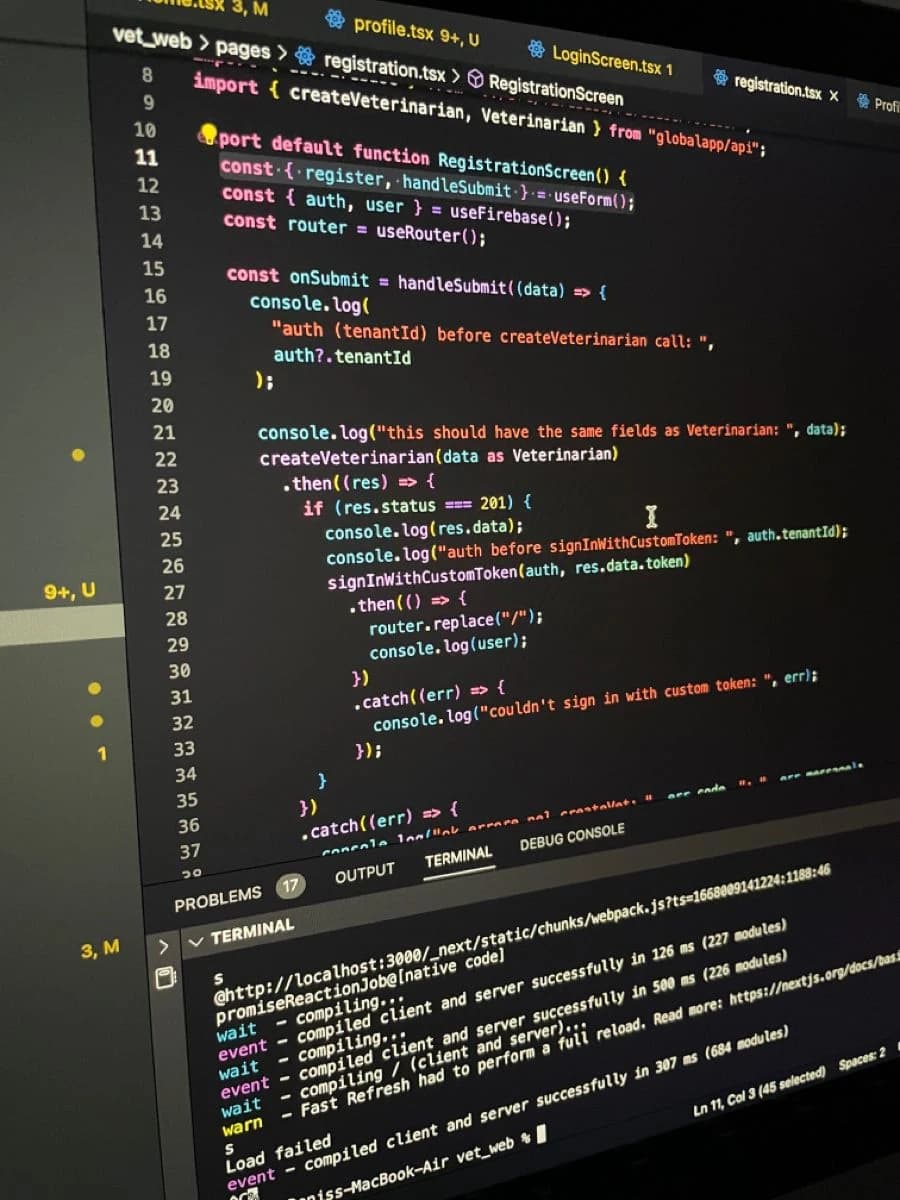 Ingeniero de Software